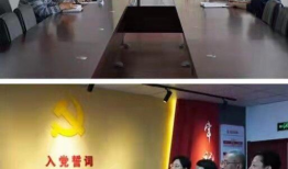 石家庄教校爆料最新消息,重大改革动态揭秘